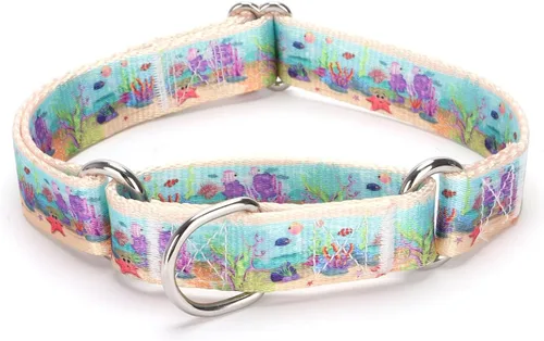 Vista 52 de Collar de perro de nailon resistente, collar ajustable de martingala para perros para caminar y entrenamiento para perros machos y hembras perros
