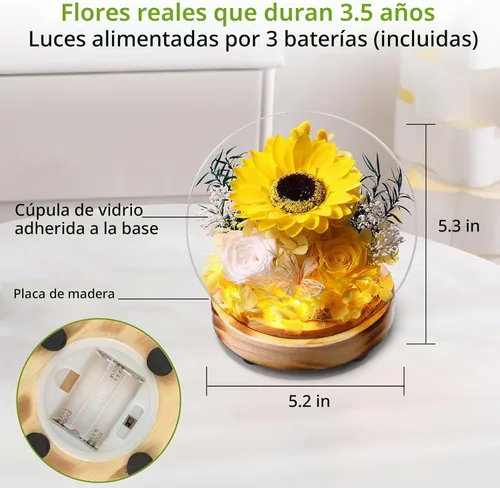 Vista 2 de Domo de Vidrio con Girasoles y Rosas Preservadas y Luces LED, Base de Madera, para el Día de San Valentín, Día de la Madre, Cumpleaños, Navidad