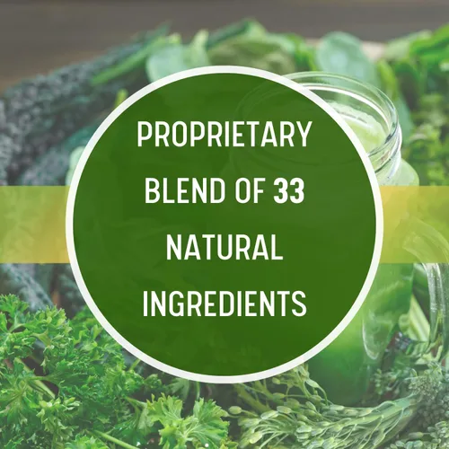 Vista 4 de Daily Health, Ultimate Greens con MSM en polvo, ingredientes naturales veganos sin gluten, soja, sin OMG, superalimento, bebida nutricional vegetal