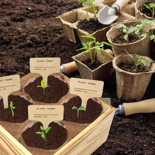Vista 7 de Meekear Kit de iniciación para interiores 4 con kit de jardinería completo y caja de madera, para cultivar margarita Shasta, aciano, girasol, zinnia