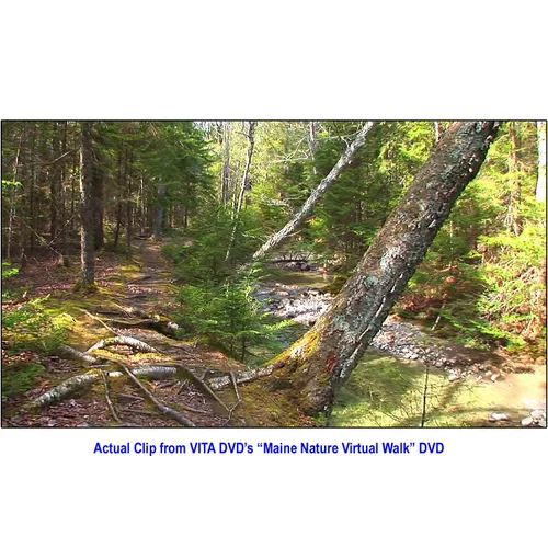 Vista 4 de Maine Nature Walk Treadmill Scenery DVD