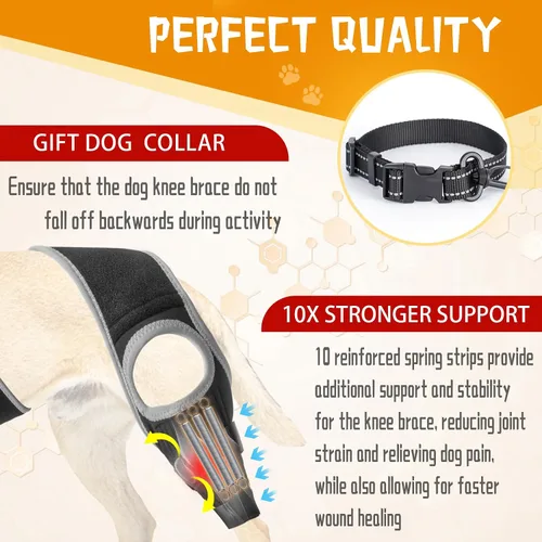 Vista 6 de Rodillera para perro ACL, soporte de cadera para perro para desgarro frontal y trasero, patas traseras de ACL, cómodo y ajustable, soporte
