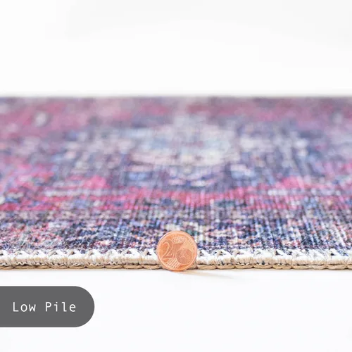 Vista 113 de GLN Rugs Traditional Collection - Alfombra de felpilla lavable a máquina, tradicional lavable, antideslizante, alfombra de felpilla de pelo corto