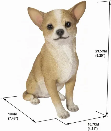 Vista 2 de Hi-Line Gift Chihuahua Dog - Estatua de resina para decoración interior y exterior, 9.25 pulgadas