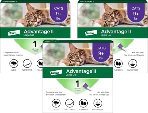 Vista 10 de Advantage II Tratamiento y prevención de pulgas recomendado por veterinarios para gatos grandes Gatos de más de 9 libras Suministro de 1 mes