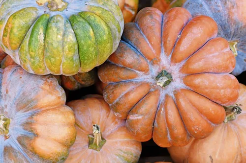 Vista 4 de Semillas de calabaza Jack Be Little de 4" - reliquia
