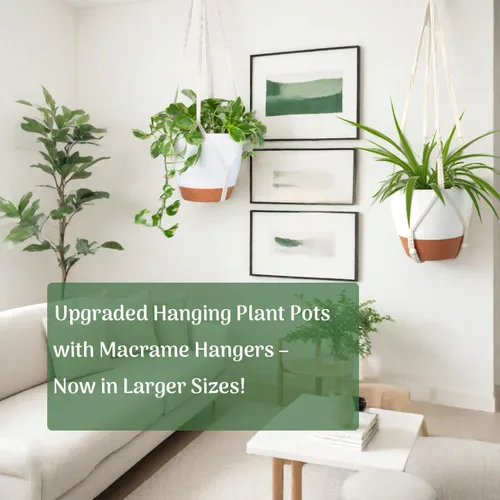 Vista 20 de Paquete de 3 macetas colgantes grandes para plantas de interior con Negro