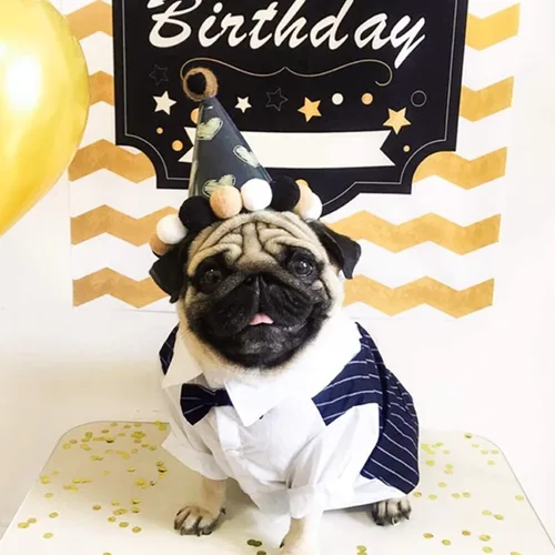 Vista 6 de Camisa para perro, ropa de esmoquin para mascotas, disfraz de corbatín, ropa formal para perros con corbata, corbata de moño de boda para cachorros