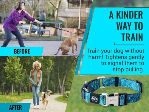 Vista 4 de Collar Martingale para perros, collar de entrenamiento para perros sin tirones y antideslizante, nailon resistente para caminar activamente, hebilla