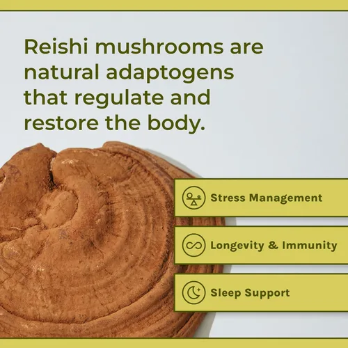 Vista 3 de Naturealm Suplemento de hongos Reishi – Cápsulas de extracto de hongo Reishi orgánico para bienestar y apoyo cognitivo – 90 cápsulas vegetarianas