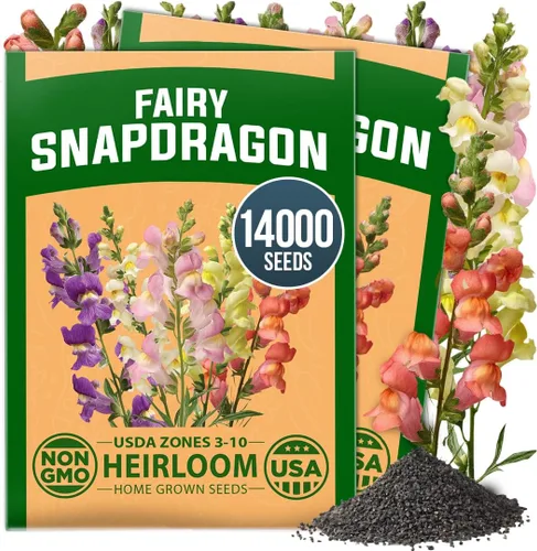 Vista 65 de HOME GROWN Semillas de Hollyhock de doble mezcla de Chater, 200 semillas