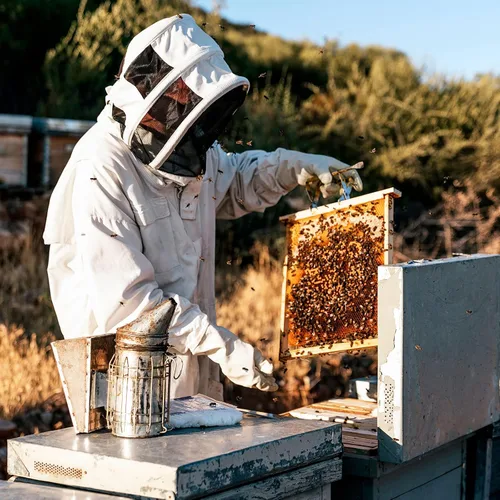 Vista 5 de HARFINGTON Traje de abeja para hombres y mujeres, L trajes de apicultura con guante y velo capucha, trajes de abeja para hombres, a prueba de patio