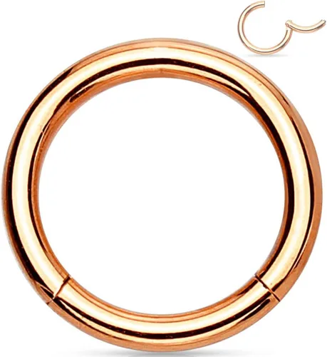 Vista 19 de Forbidden Body Jewelry - Piercing para la nariz de acero quirúrgico 316L con bisagra, 14G, 16G, 18G, diámetro de 15/64, 5/16, 25/64, 15/32 pulgadas