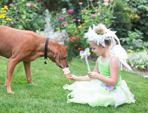 Vista 4 de Little Adventures disfraz de hada para baile, M (3-5 años), Tinkerbell Fairy