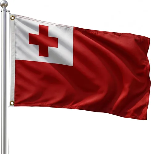 Vista 123 de DMSE - Bandera nacional beninesa beninesa de la República de África Occidental, 2 x 3 pies, 100 % poliéster, 100 % poliéster, resistente a los rayos
