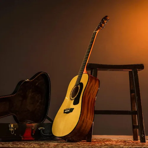 Vista 6 de Washburn Aprendiz D5 con funda, guitarra acústica