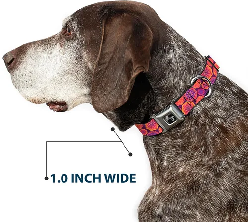 Vista 6 de buckle-down 13 – 18" Boho Mandala morados/Naranjas/PINKS perro collar HUESO, Wide pequeñas