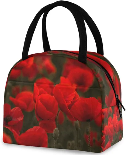 Vista 26 de Bolsa de almuerzo reutilizable para Halloween, colores arcoíris, murciélagos, estrellas, bolsa térmica aislada para el regreso a la escuela