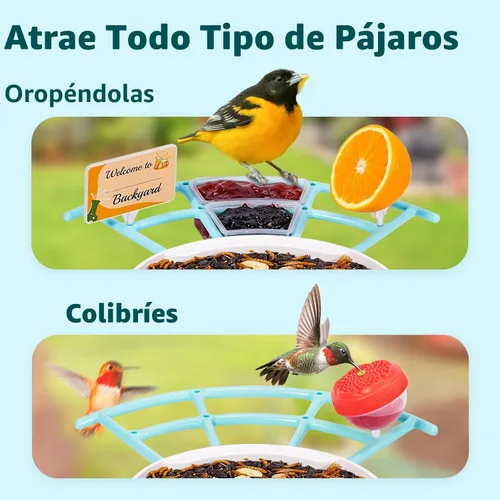 Vista 3 de NETVUE by Birdfy Pro Perch - Percha de extensión más amplia para complementos de bricolaje, incluyendo bola de sebo, mini comedero para colibríes