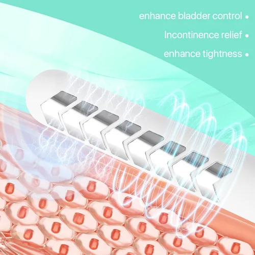 Vista 2 de Entrenador muscular pélvico, ejercitador eléctrico de músculos pélvicos para Kegels para el tratamiento de la reparación posparto femenina