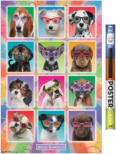 Vista 13 de Trends International Keith Kimberlin - Póster de pared con diseño de cachorros, gafas de sol, 14.725 x 22.375 pulgadas, versión enmarcada de madera