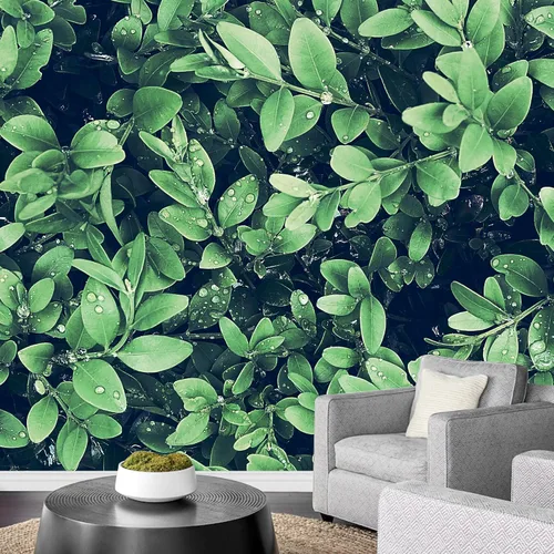 Vista 47 de wall26 serie Wall Mural Papel de empapelar autoadhesivo, grande., WMR-WP-X-D986-66x24x4
