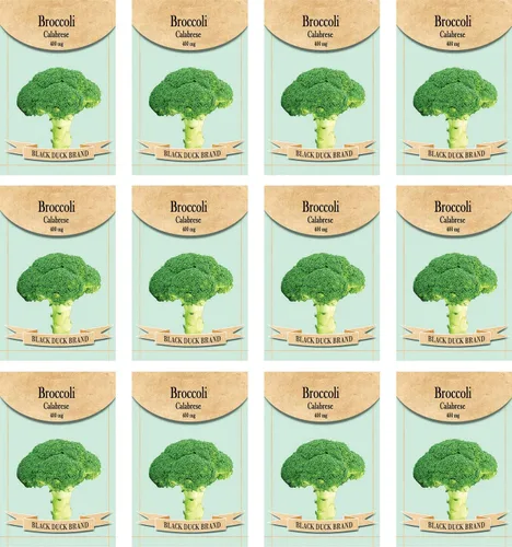 Vista 4 de Juego de 12 paquetes de semillas de verduras de roqueta de rúcula, crea un jardín de lujo, todas las semillas son reliquias, 100% sin OMG