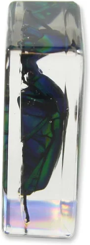 Vista 2 de Pisapapeles verde Chafer Beetle (1 1/8 x 1 3/4 x 3/4)