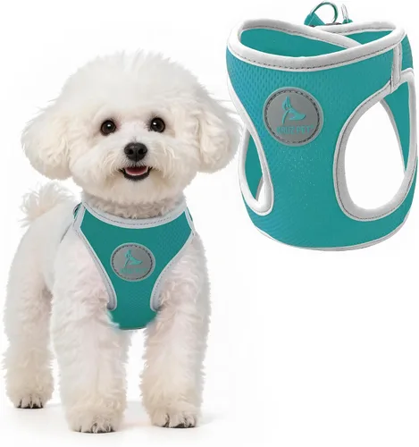 Vista 13 de Kruz - Arnés para perro (pecho de 13.5 a 14 pulgadas, peso de 4 a 6 libras) Athletica chaleco ajustable resistente sin estrangulamiento para perros