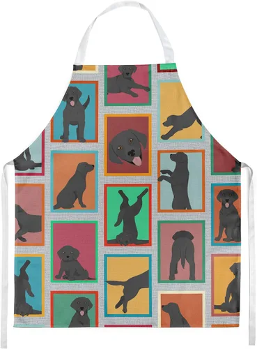 Vista 32 de Caroline's Treasures Boston Terrier