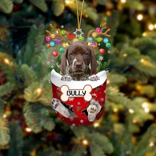Vista 175 de IZI POD Affenpinscher Adorno de Navidad personalizado para perro, adorno de bolsillo de nieve para perro para árbol de Navidad, adorno acrílico