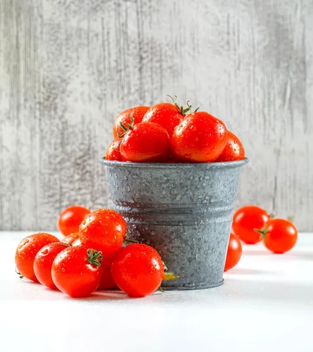 Vista 3 de Semillas de bonsái de tomate de interior 30+ semillas para plantar tomate enano de interior variedad de tomate autopolinizador