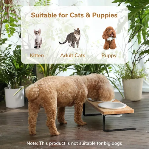 Vista 2 de FUKUMARU - Cuencos de cerámica elevados para gatos, cuencos con una inclinación de 15º para agua y comida en soporte de madera, juego para gatos