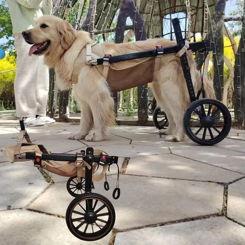 Vista 6 de Back Legs Dog Wheelchair, Adjustable Dog Carts with 2-Wheels for Small/Large Doggy, Lightweight Pets Back Limb Walking Mobility Aids, Pet