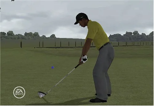 Vista 13 de Tiger Woods PGA Tour 09 All-Play - Nintendo Wii