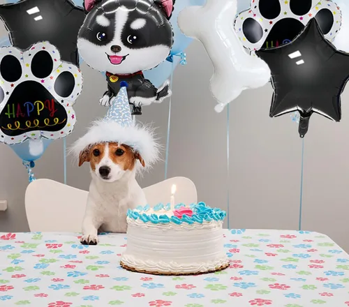 Vista 4 de 6 globos de papel de aluminio de Mylar con estampado de pata de hueso de perro Husky para decoraciones de cumpleaños de perros y suministros de Negro