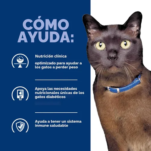 Vista 8 de Hill's Prescription Diet m/d GlucoSupport Alimento seco para gatos # 1 recomendado por veterinarios, receta de pollo, 4 libras. Bolsa
