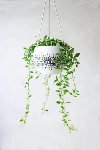 Vista 2 de KiaoTime Maceta colgante de cerámica para interiores y exteriores, decoración bohemia con flores verdes, plantas de aire suculentas, soporte