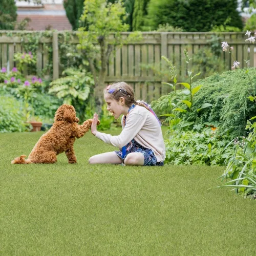 Vista 14 de MSI Alfombra de césped artificial de 1.496 in de grosor para exteriores, césped artificial para perros, césped artificial, césped para mascotas