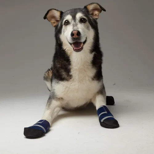 Vista 5 de Healers Botas y vendajes médicos para perros, XS