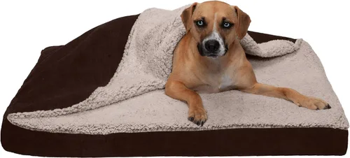 Vista 22 de Furhaven Funda de repuesto para cama de perro, estilo sofá, de pelo sintético y terciopelo, color salvia oscura, talla M