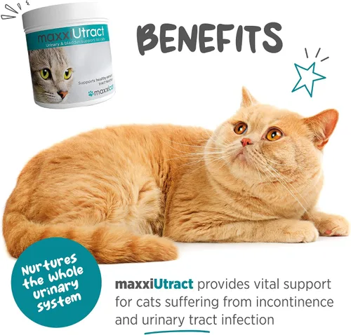 Vista 2 de maxxipaws maxxiUtract Polvo urinario y de vejiga para gatos, D-Manosa, 3.2 oz
