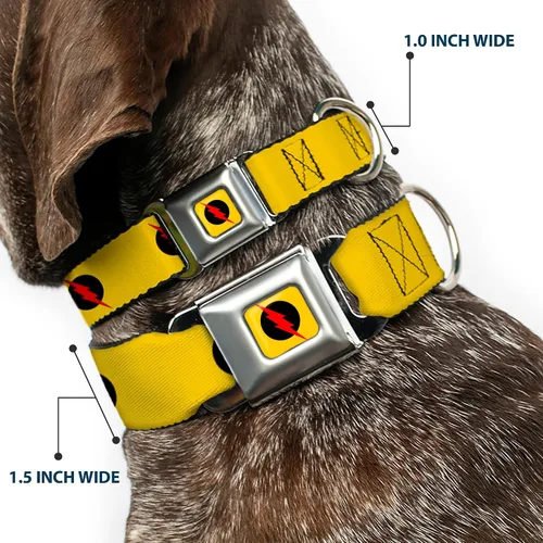 Vista 2 de Buckle-Down Collar de perro con hebilla de cinturón de seguridad, logotipo de flash reverso, amarillo dorado, negro/rojo, 1 pulgada de ancho, se