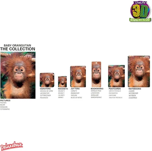 Vista 2 de 3D LiveLife Tarjeta de felicitación - Baby Orangutan de Deluxebase. Colorido mono Lenticular Tarjeta 3D para cualquier ocasión y edad. Obra original