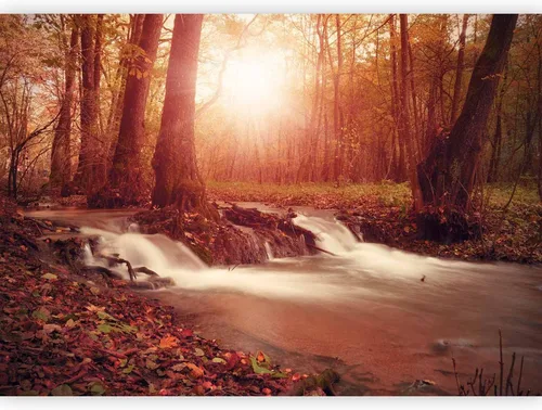 Vista 19 de artgeist Mural de pared premium Bosque púrpura, 79 x 55 pulgadas, papel tapiz no tejido, decoración de pared de vellón, impresión fotográfica