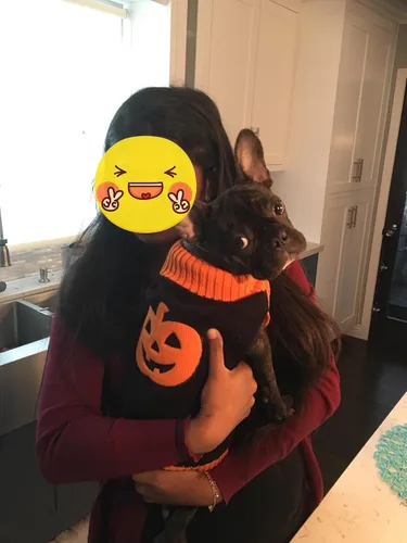 Vista 4 de HAPEE Suéteres para perros, ropa para mascotas de Halloween para perros y gatos