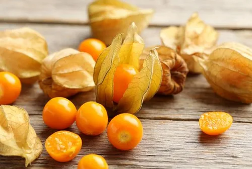 Vista 8 de Más de 200 Semillas Fresa Cereza Molida - Physalis - Naranja Vegetal