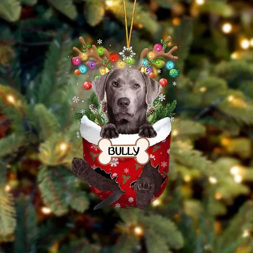 Vista 178 de IZI POD Affenpinscher Adorno de Navidad personalizado para perro, adorno de bolsillo de nieve para perro para árbol de Navidad, adorno acrílico