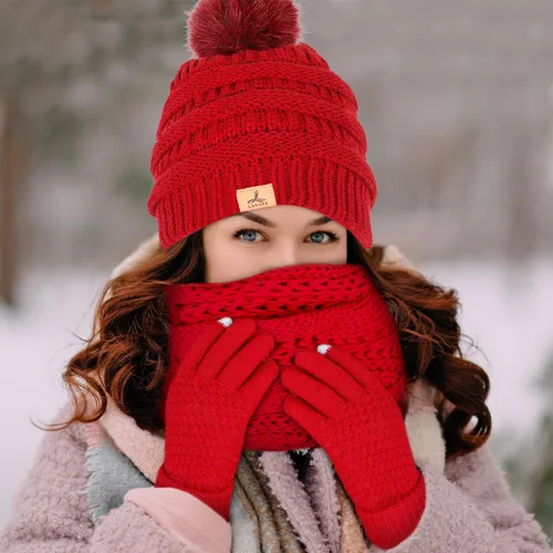 Vista 6 de Winter Hat Scarf Gloves and Ear Warmer, Warm Knit Beanie Hat Touch Screen Gloves Set Winter Gifts Neck Scarves for Women