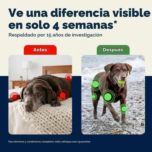 Vista 4 de YuMOVE Suplemento para articulaciones para perros mayores Glucosamina y Mejillón de labios verdes, glucosamina, ácido hialurónico y Omega 3